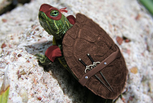 ninja_turtle_costume