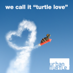 we call it "turtle love"